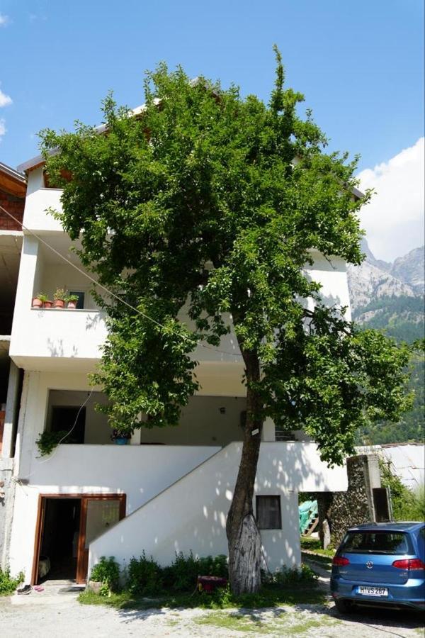 Guesthouse Skender Selimaj วัลโบเนอ ภายนอก รูปภาพ